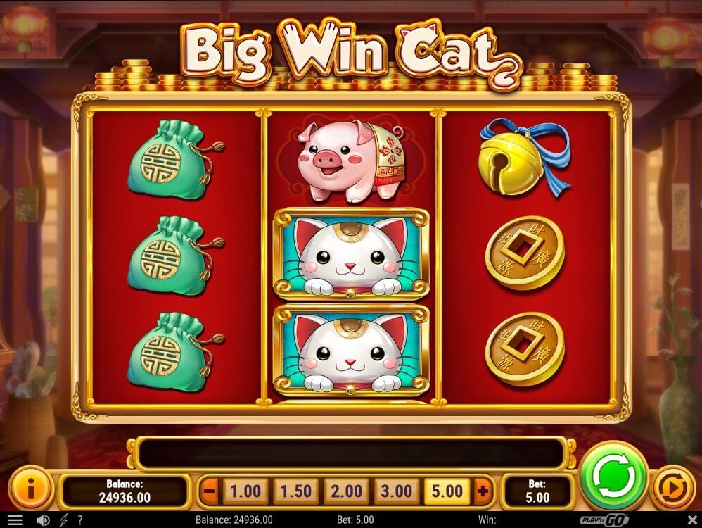 big win cat spelautomat