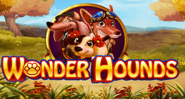 wonder hounds