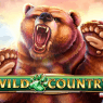 Wild Country logo