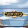 Wild Rails logo